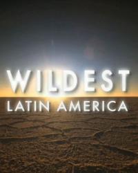 В дебрях Латинской Америки (2012) смотреть онлайн (1,2,3,4,5 серия)
